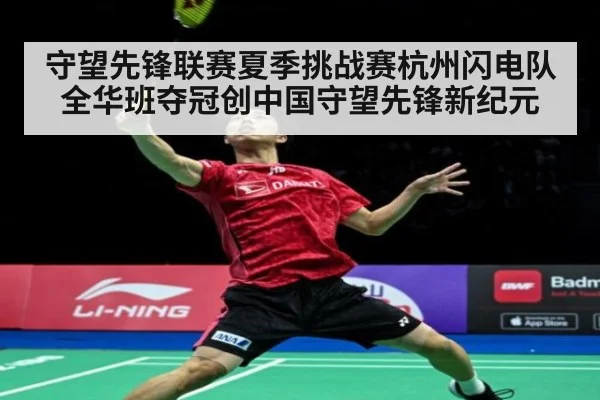 守望先锋联赛夏季挑战赛杭州闪电队全华班夺冠创中国守望先锋新纪元